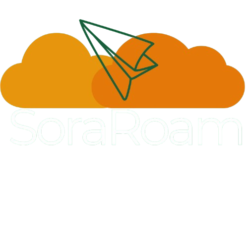 SoraGo Logo